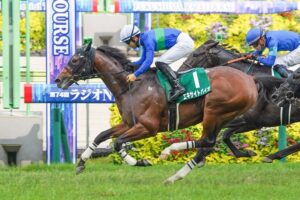 ［今週の競馬］函館で伝統のハンデ重賞、福島では秋を見据える3歳重賞が開催！