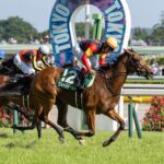 ［今週の競馬］サマーマイルシリーズが阪神で開幕！いよいよ夏競馬へ！