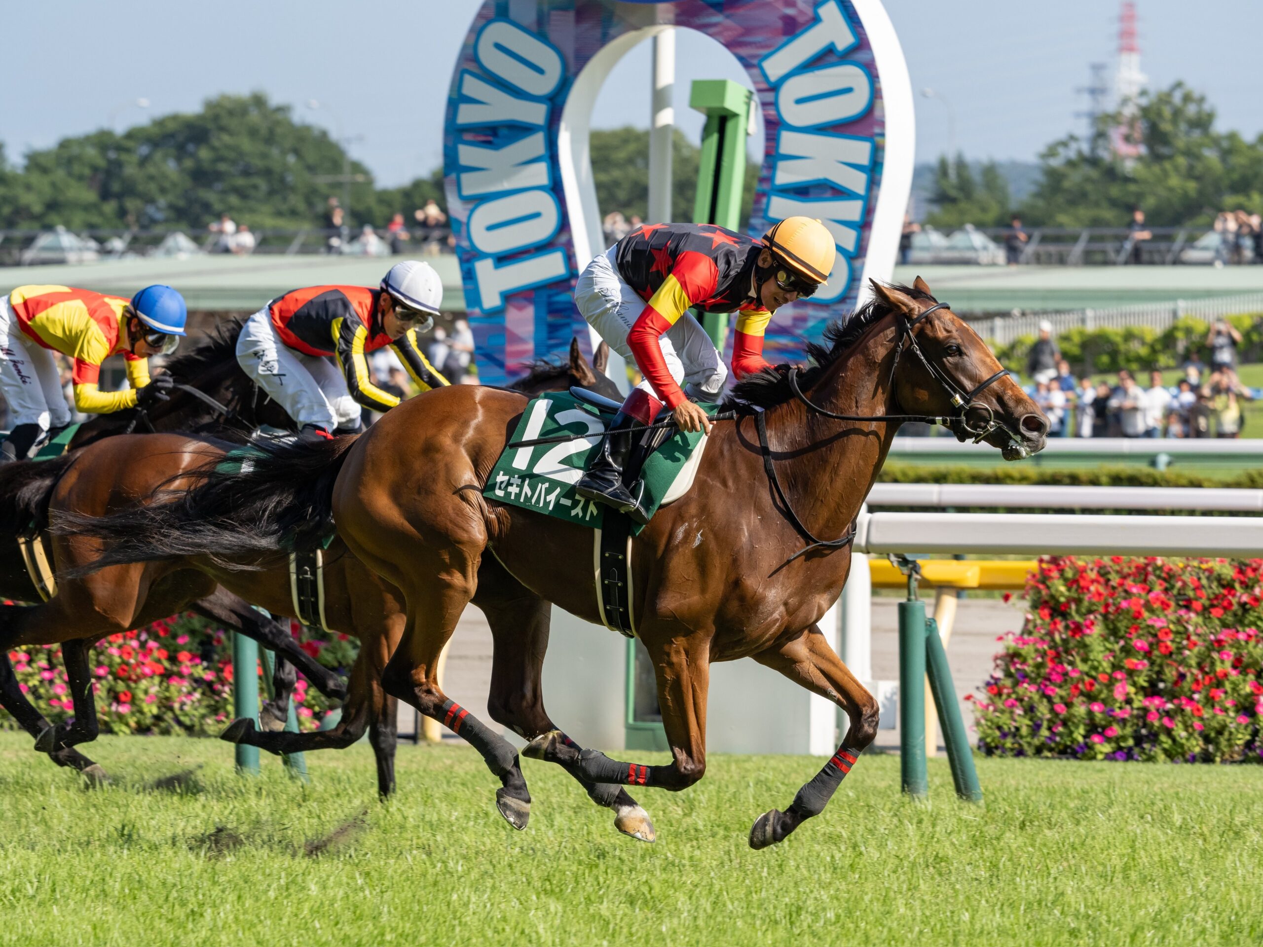 ［今週の競馬］サマーマイルシリーズが阪神で開幕！いよいよ夏競馬へ！