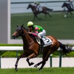 ［リーディング］キズナが7週間ぶりに種牡馬リーディングの首位を奪取！C.ルメール騎手、杉山晴紀、池江泰寿厩舎は土日の連対率7割