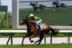［リーディング］キズナが7週間ぶりに種牡馬リーディングの首位を奪取！C.ルメール騎手、杉山晴紀、池江泰寿厩舎は土日の連対率7割