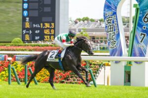 ［新馬戦回顧］メイクデビューの勝者達(2026/06/06)