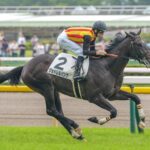 ［新馬戦回顧］メイクデビューの勝者達(2026/06/07)