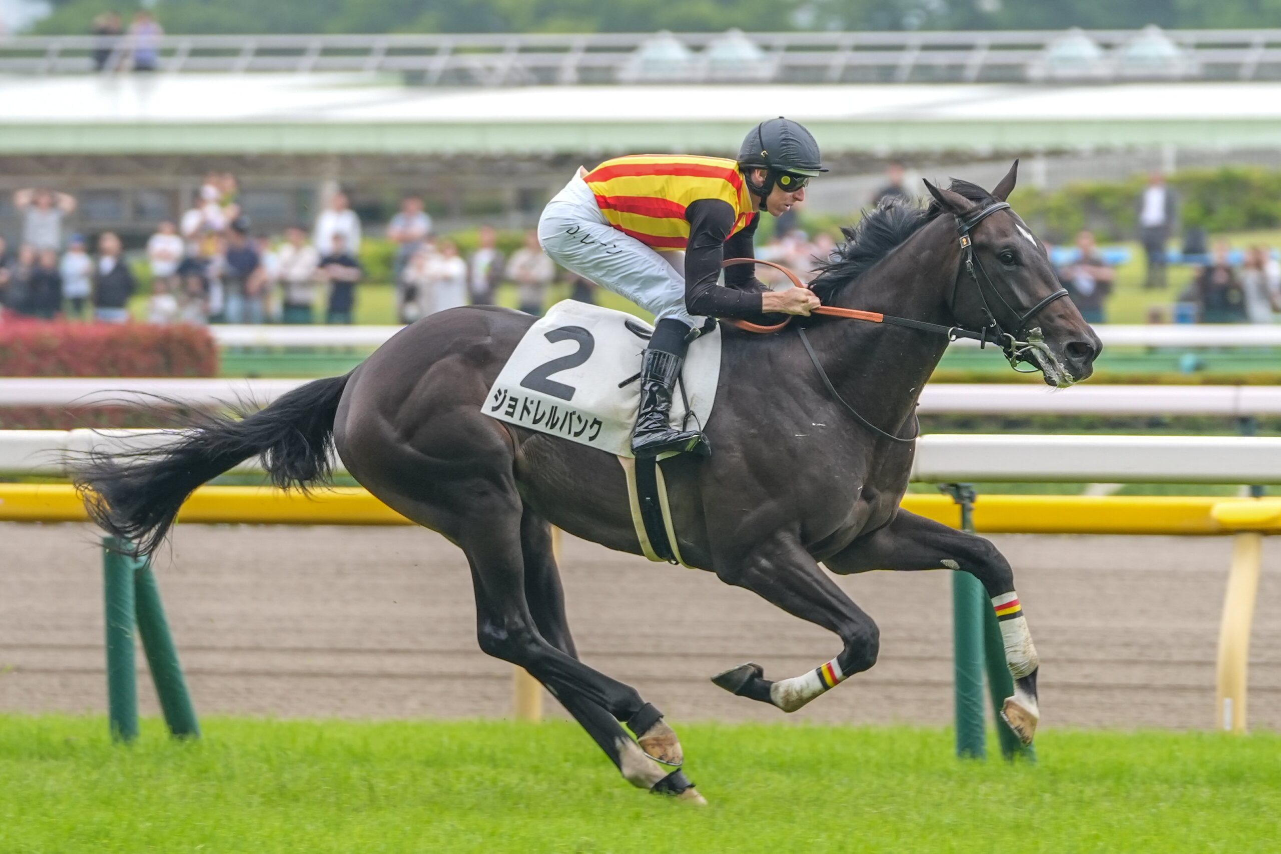 ［新馬戦回顧］メイクデビューの勝者達(2026/06/07)