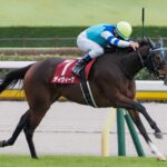 2023年ディヴィーナの府中牝馬Sを振り返って