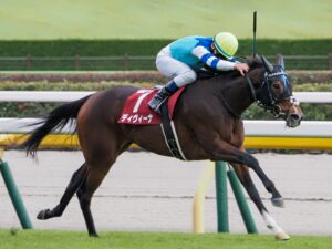 2023年ディヴィーナの府中牝馬Sを振り返って