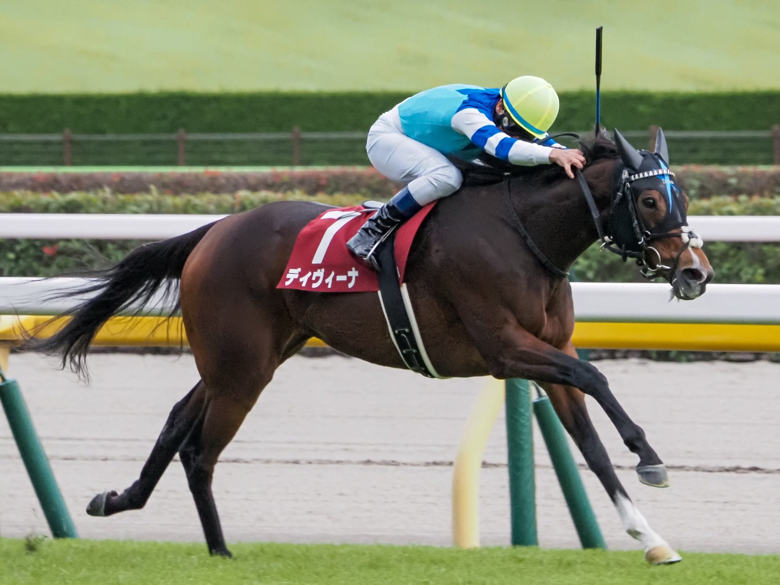 2023年ディヴィーナの府中牝馬Sを振り返って