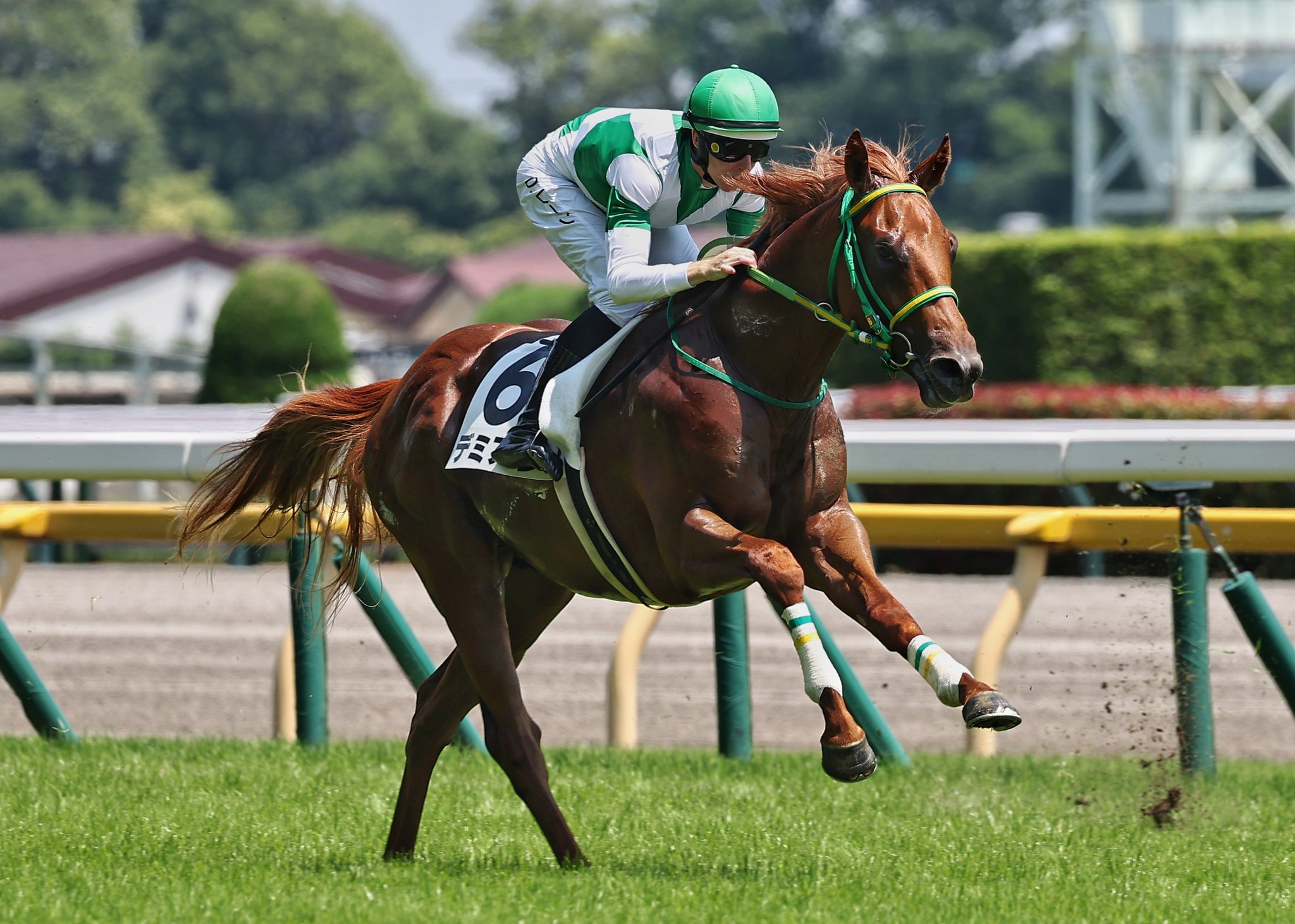 ［新馬戦回顧］メイクデビューの勝者達(2026/06/13)