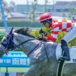 ［新馬戦回顧］メイクデビューの勝者達(2026/06/14)