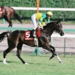 ［府中牝馬S］ダイヤモンドビコー、ヒカルダンサー、ジャニス。加藤和宏騎手とのコンビで府中牝馬Sを制した馬たち