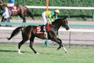 ［府中牝馬S］ダイヤモンドビコー、ヒカルダンサー、ジャニス。加藤和宏騎手とのコンビで府中牝馬Sを制した馬たち