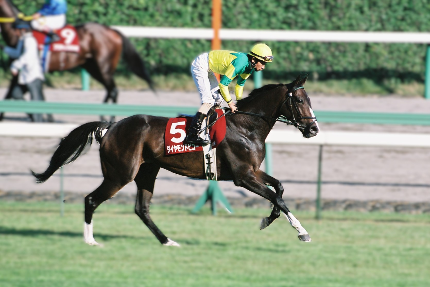 ［府中牝馬S］ダイヤモンドビコー、ヒカルダンサー、ジャニス。加藤和宏騎手とのコンビで府中牝馬Sを制した馬たち