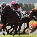 アルバートドックが辿り着いた港