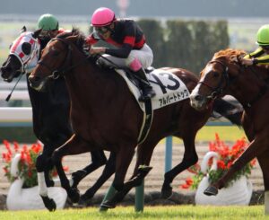 アルバートドックが辿り着いた港