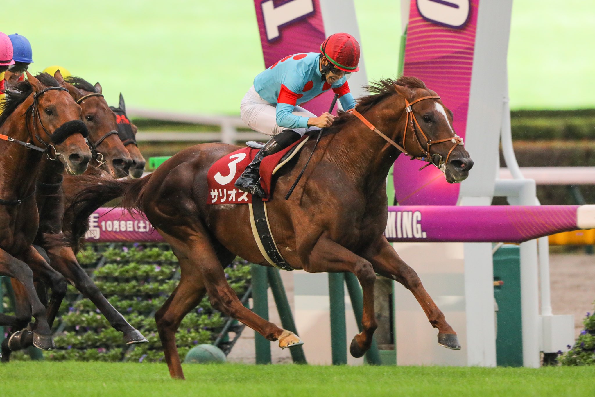 ［新種牡馬対談］サリオスの仔は牝馬が走る？チュウワウィザード産駒の成長性は？　治郎丸敬之×緒方きしん