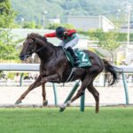 ［今週の競馬］引き続き函館、福島、小倉の3場開催！福島で七夕を彩るハンデ重賞が実施！