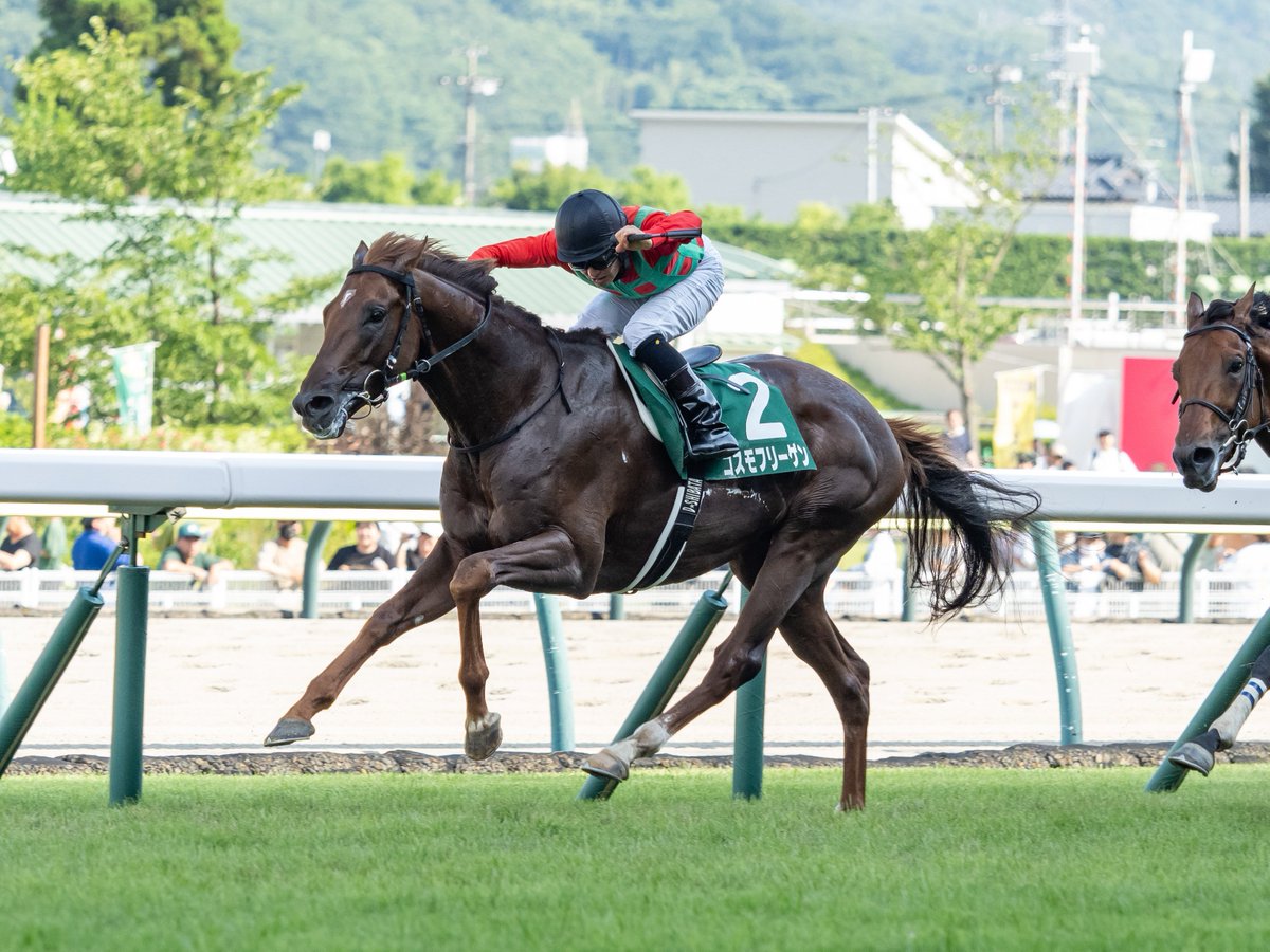 ［今週の競馬］引き続き函館、福島、小倉の3場開催！福島で七夕を彩るハンデ重賞が実施！
