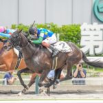 ［新馬戦回顧］メイクデビューの勝者達(2026/06/27)