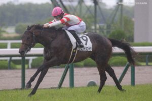 ［新馬戦回顧］メイクデビューの勝者達(2026/06/20)