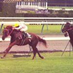 未完の快速馬、ビッグバイアモン - 1996年、中山の夏の午後に咲いた「幻影」の物語