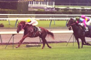 未完の快速馬、ビッグバイアモン - 1996年、中山の夏の午後に咲いた「幻影」の物語
