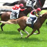 ［今週の注目］夏の福島で未来を掴め - グランマエストロ、今度こそ未勝利脱出へ！