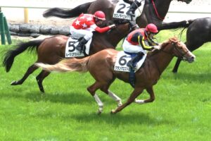 ［今週の注目］夏の福島で未来を掴め - グランマエストロ、今度こそ未勝利脱出へ！