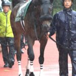 ［今週の注目］ドンインザムードよ、風を巻き起こし「夏の上り馬」となれ！～東海S～
