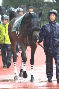 ［今週の注目］ドンインザムードよ、風を巻き起こし「夏の上り馬」となれ！～東海S～