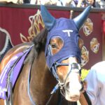 ［今週の注目］「令和版・最強の1勝馬」ボンドガールが追い続ける悲願 - クイーンS