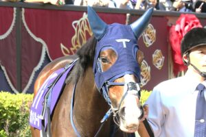 ［今週の注目］「令和版・最強の1勝馬」ボンドガールが追い続ける悲願 - クイーンS
