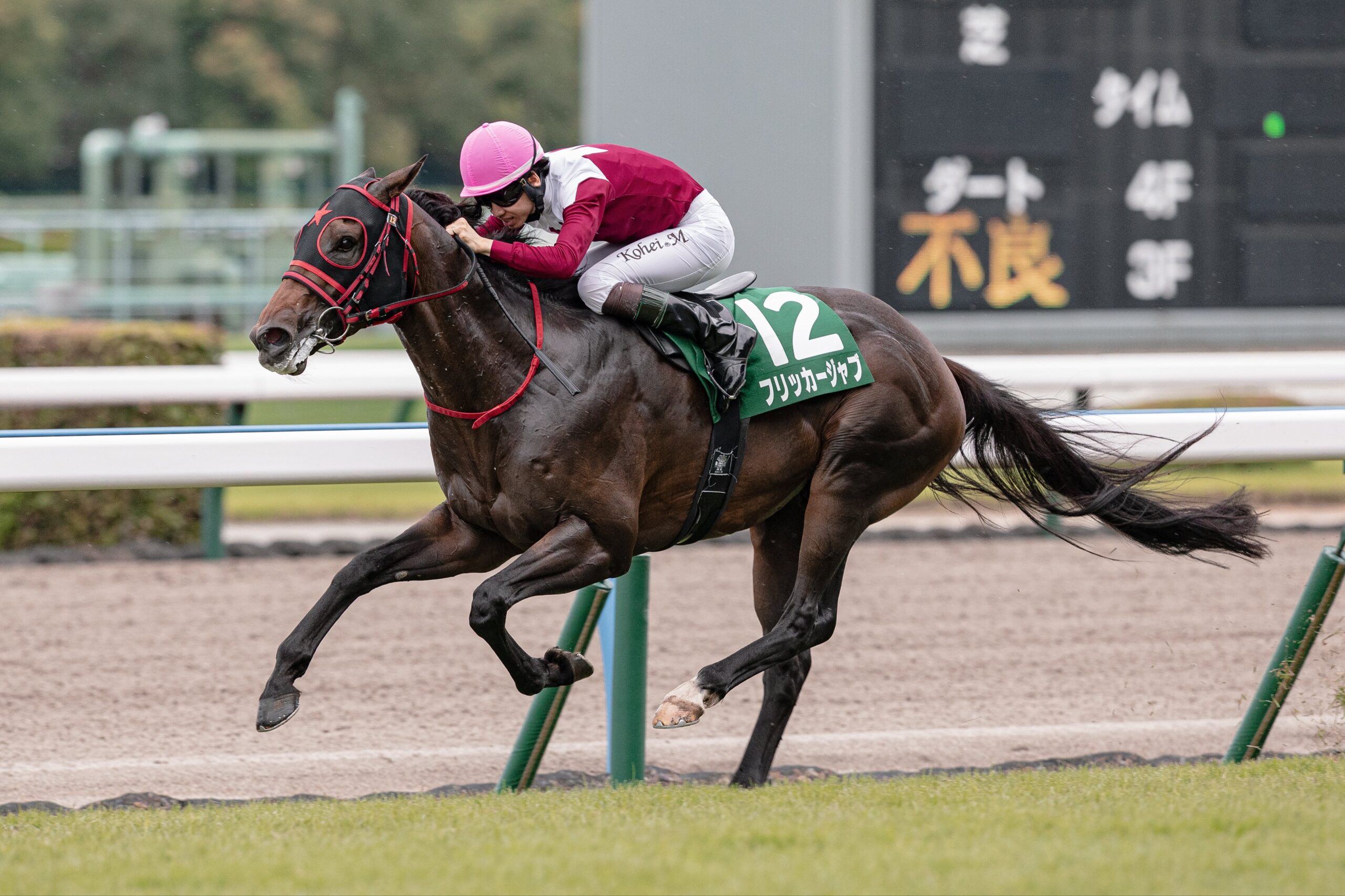 ［重賞回顧］57.5㎏を背負って一撃、雨の小倉に決まったフリッカージャブ～2026年・北九州記念～