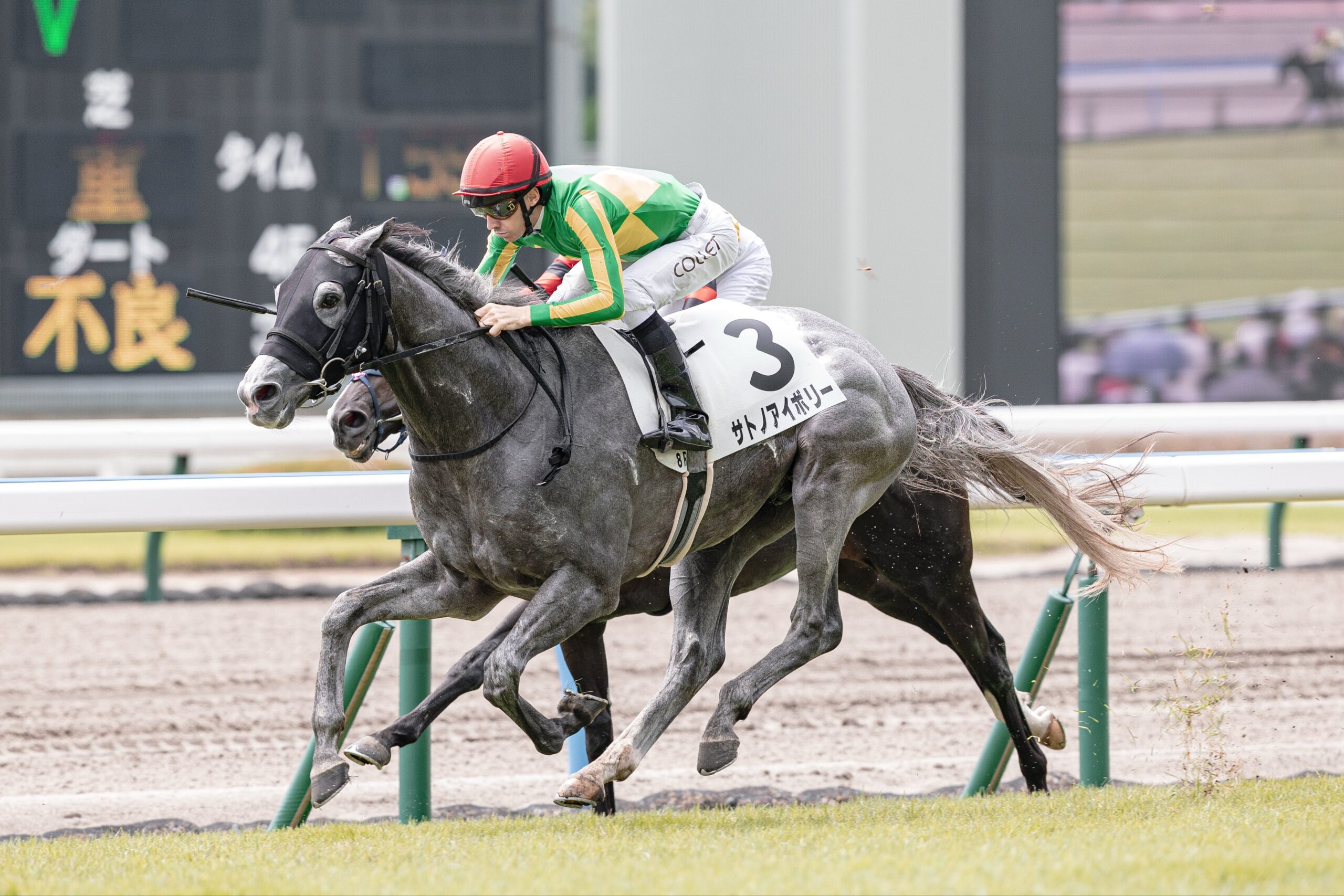 ［リーディング］記録ラッシュの7月1週目！斎藤誠厩舎は土日で6勝！！