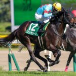 世代を超えた一戦 - プリモシーンが制した2018年関屋記念を振り返る