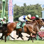 ［今週の競馬］札幌、新潟、中京開催がスタート！新潟、中京では暑熱対策によるレース時間の変更も実施！