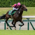 ［今週の競馬］札幌、新潟、中京の3場開催！札幌と新潟でダート重賞、中京ではサマースプリントシリーズ第3戦が開催！