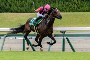 ［今週の競馬］札幌、新潟、中京の3場開催！札幌と新潟でダート重賞、中京ではサマースプリントシリーズ第3戦が開催！