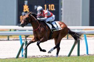 ［新馬戦回顧］メイクデビューの勝者達(2026/06/28)