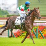 ［今週の注目］夏の上り馬を探せ！母ルージュバックのボニープリンス