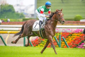 ［今週の注目］夏の上り馬を探せ！母ルージュバックのボニープリンス
