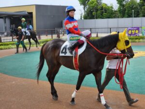 ［連載・クワイトファインプロジェクト］第54回 クワイトファイン産駒勝利記念によせて～１頭のサラブレッドに寄せる人の思い～