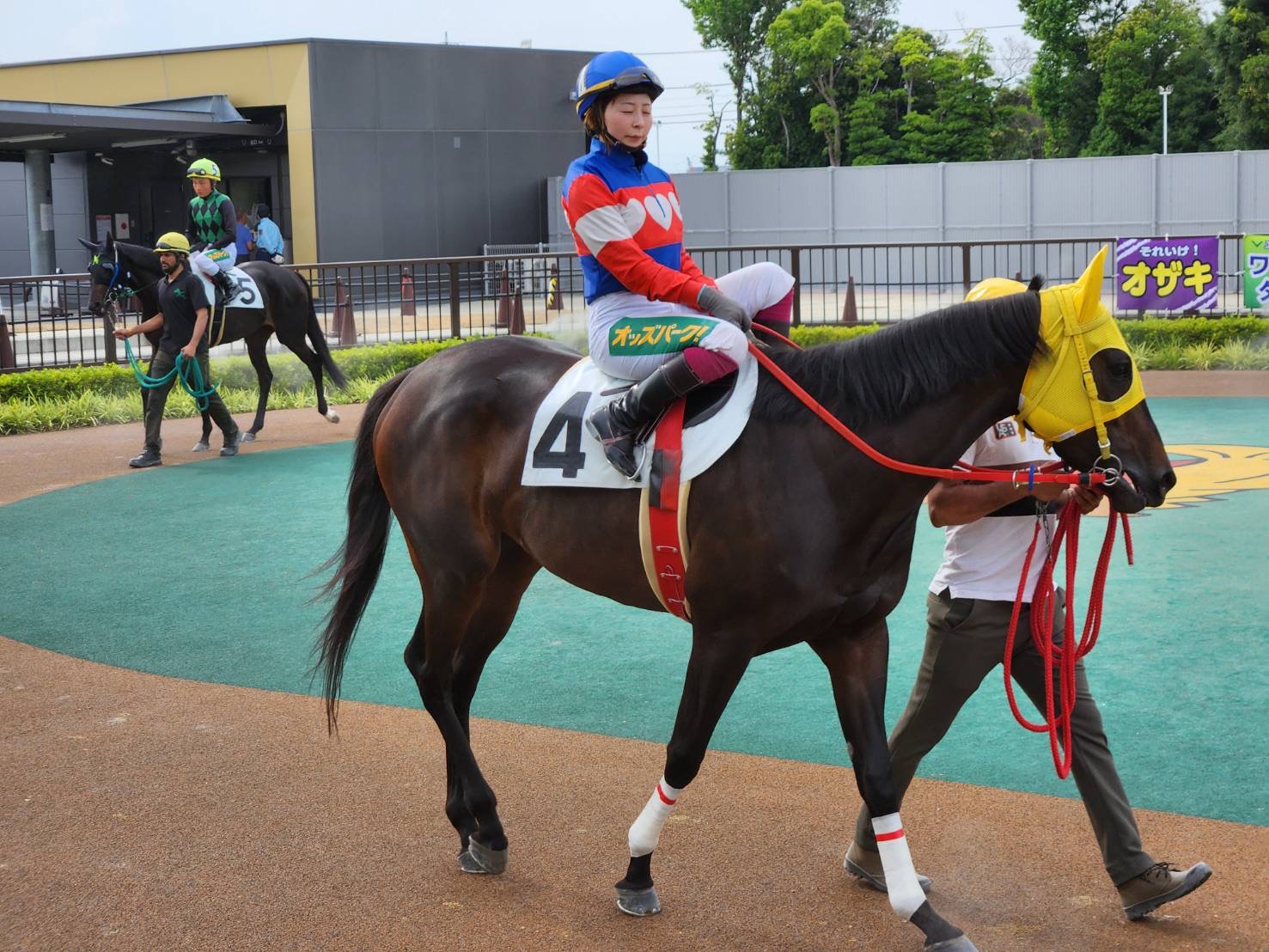 ［連載・クワイトファインプロジェクト］第54回 クワイトファイン産駒勝利記念によせて～１頭のサラブレッドに寄せる人の思い～
