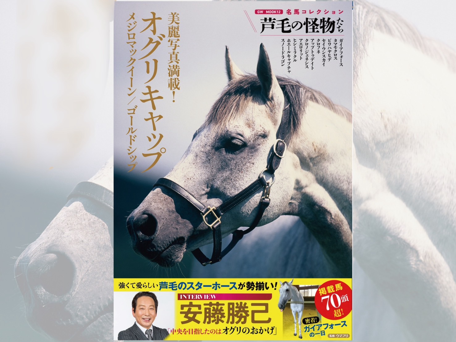 ［予約開始］オグリキャップの美麗写真も20枚超掲載！芦毛馬の魅力を伝える『名馬コレクション 芦毛の怪物たち』が予約受付開始！