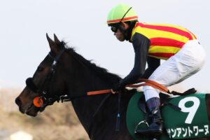 ［今週の注目］夏競馬の折り返し地点で輝け！CBC賞に挑む3歳牝馬サンアントワーヌ