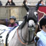 ［今週の注目］今度こそ、秋に向けた2勝目を - 3歳牝馬シニャンガ、捲土重来の札幌2戦目へ