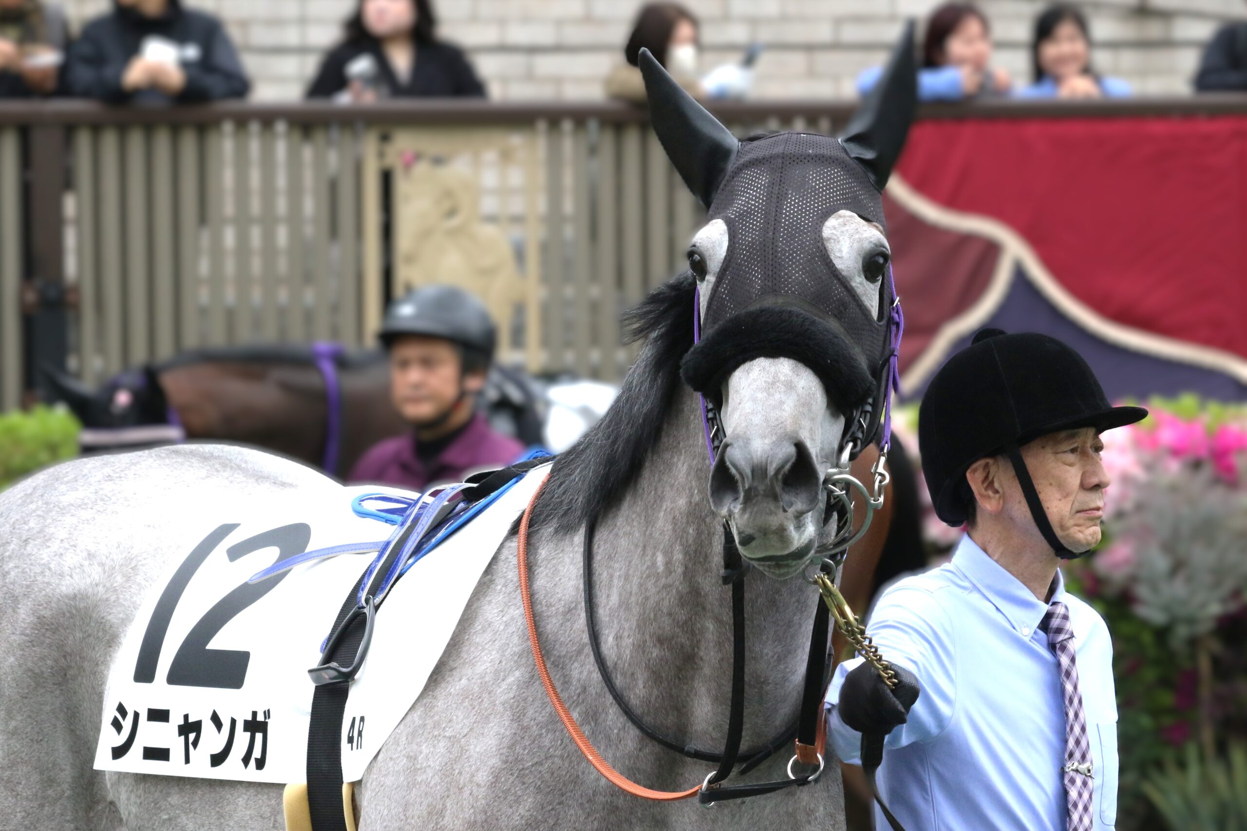 ［今週の注目］今度こそ、秋に向けた2勝目を - 3歳牝馬シニャンガ、捲土重来の札幌2戦目へ