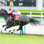 快速馬の血を受け継ぐ牝馬と、新人騎手が掴み取った、最速の称号 - テイエムスパーダ