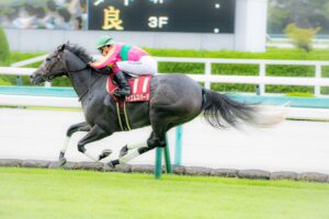 快速馬の血を受け継ぐ牝馬と、新人騎手が掴み取った、最速の称号 - テイエムスパーダ