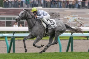 ［新馬戦回顧］メイクデビューの勝者達(2026/08/08)