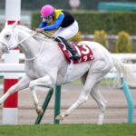 ［札幌記念］エアグルーヴ、ハープスター、ソダシ。札幌記念を制した名牝たち